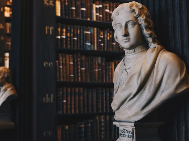 Young Population Demographics