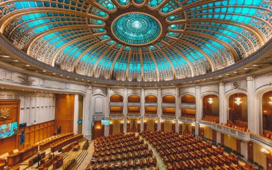 Xeno’s Business Boom: 50 New Members, One Shared Vision